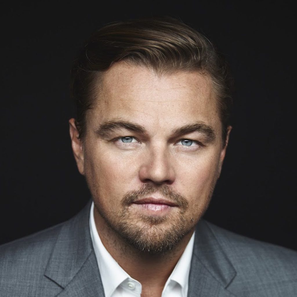 Leonardo DiCaprio - Toyota Prius