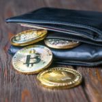 WinZEC Wallet Tips and Troubleshoot Explained 2025