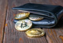 WinZEC Wallet Tips and Troubleshoot Explained 2025