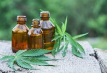 Can CBD Oil Help your Autistic Child?