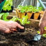 8 Things That You Need to Have in Your Garden