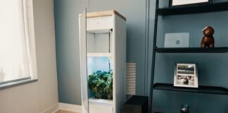 Grow The Home Garden Of Your Dreams With a Grow Box: What, Why, and How