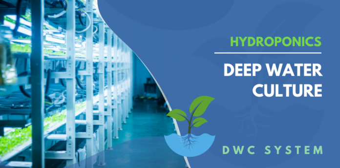 Hidroponics deep water system