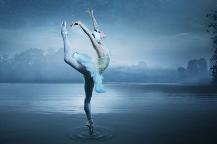 Swan Lake