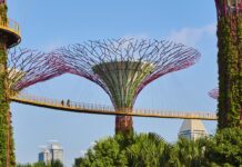 Do You Prefer to Live in Oasis Amidst Nature and Convenience? singapore greenery