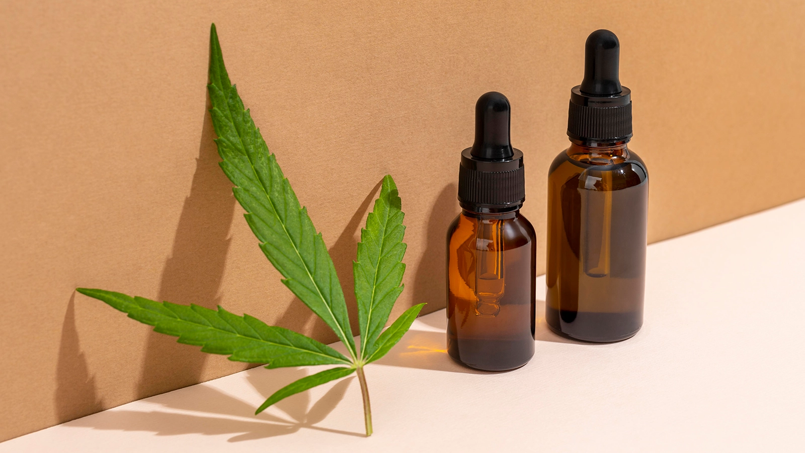 Unraveling the Enigma of CBD: Unpacking its Top 5 Health Benefits ...