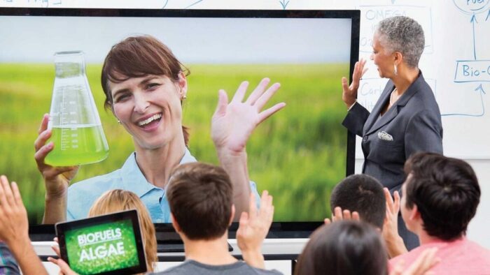 Beyond the Classroom Walls: Expanding Learning Horizons with Online ...