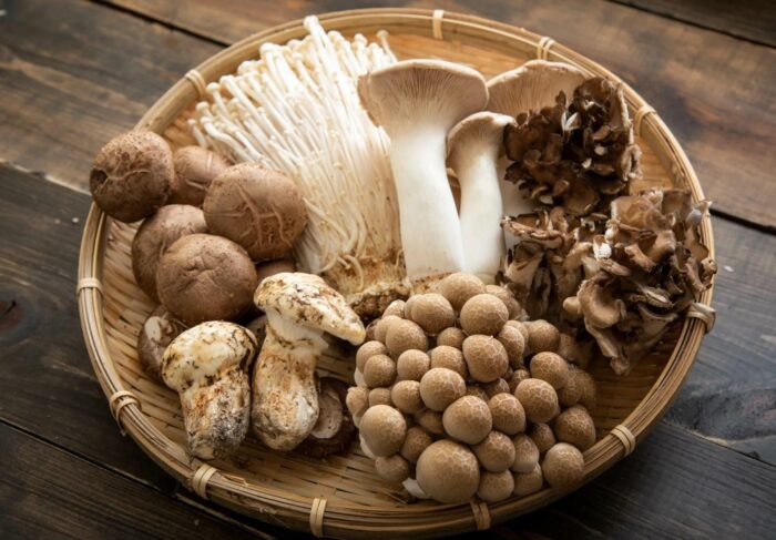 All Functional mushrooms are the same