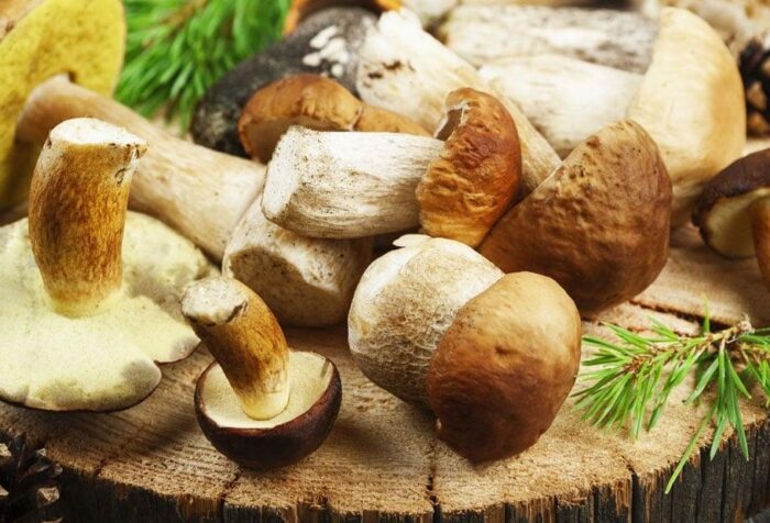 Mushrooms cause candida