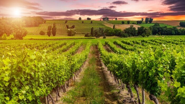 Bordeaux's Surrounding Countryside