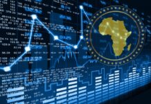 4 Best Crypto Social Trading Platforms 2025