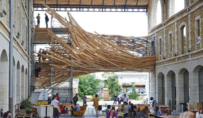 Kid-Friendly Attractions - Darwin Ecosystem