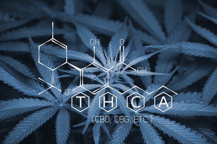 What is THCA?