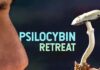 Psilocybin Retreat inside the Netherlands: The New Era of Psychedelic and Therapeutic Tourism