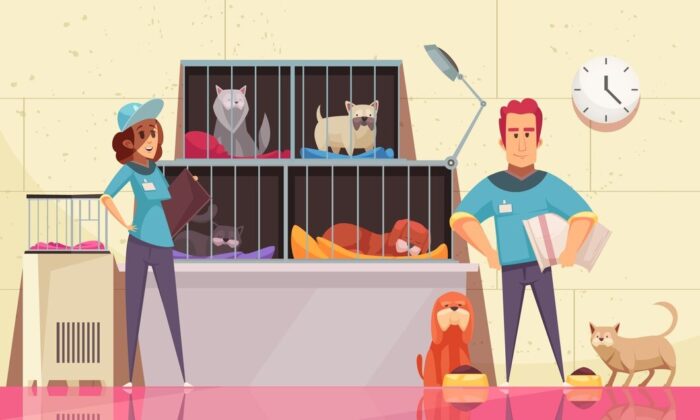 動物保護施設を宣伝し、寄付者を獲得するための最良の方法