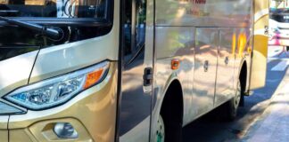 Exploring the Joy of Coach Holidays