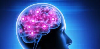 Supporting Brain Health in Later Life: Practical Ways to Lower Dementia Risk