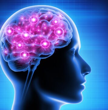 Supporting Brain Health in Later Life: Practical Ways to Lower Dementia Risk