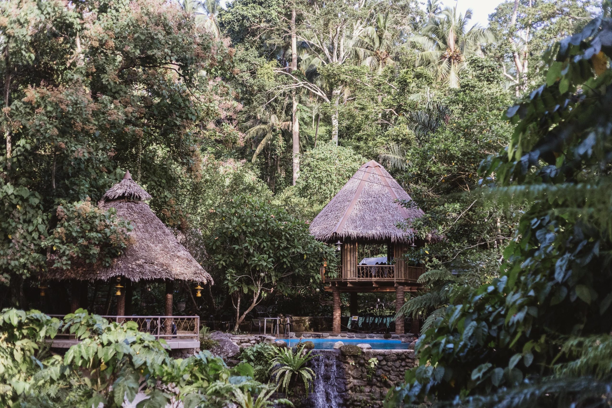 Secluded luxury villa with a private pool nestled in a lush jungle setting